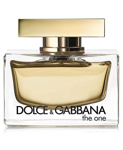 macy's dolce and gabbana